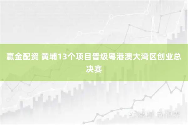 赢金配资 黄埔13个项目晋级粤港澳大湾区创业总决赛