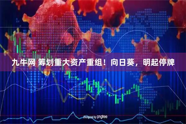 九牛网 筹划重大资产重组！向日葵，明起停牌