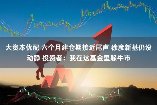 大资本优配 六个月建仓期接近尾声 徐彦新基仍没动静 投资者：我在这基金里躲牛市