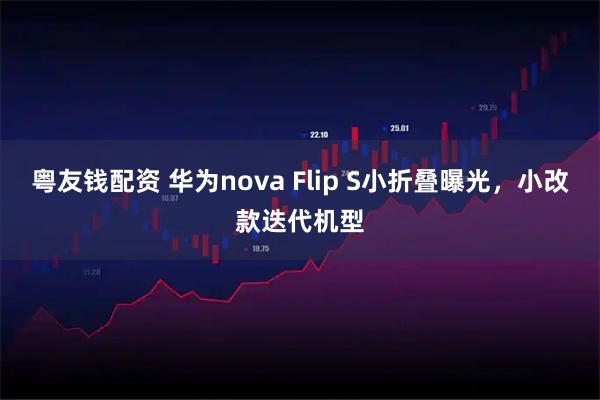 粤友钱配资 华为nova Flip S小折叠曝光，小改款迭代机型