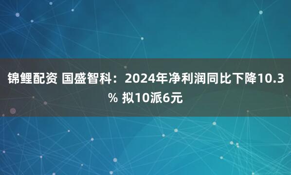 锦鲤配资 国盛智科：2024年净利润同比下降10.3% 拟10派6元