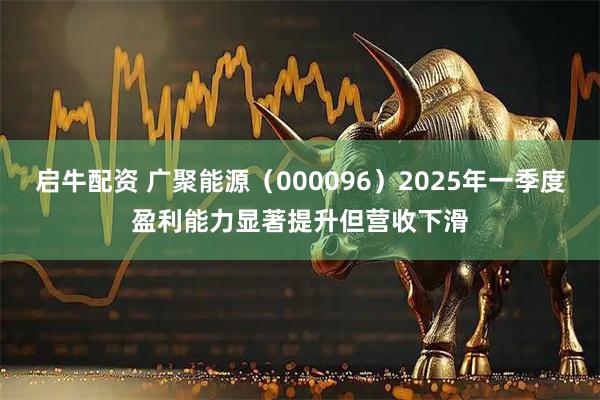 启牛配资 广聚能源（000096）2025年一季度盈利能力显著提升但营收下滑
