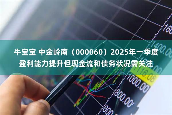 牛宝宝 中金岭南（000060）2025年一季度盈利能力提升但现金流和债务状况需关注