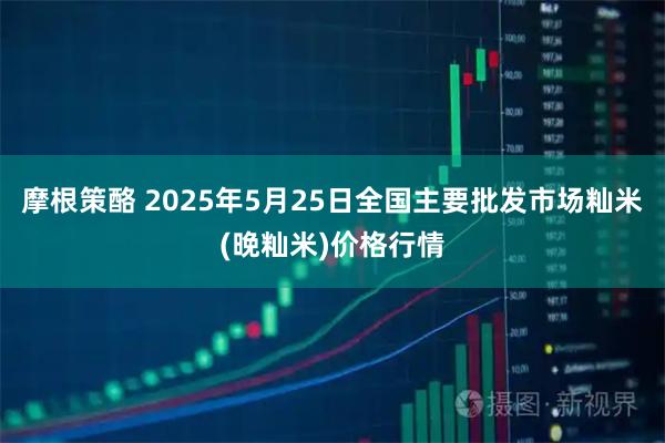 摩根策酪 2025年5月25日全国主要批发市场籼米(晚籼米)价格行情