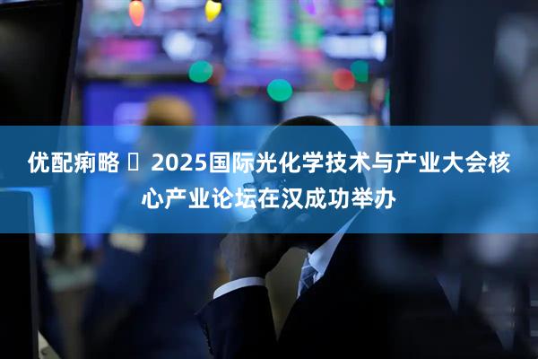 优配痢略 ​2025国际光化学技术与产业大会核心产业论坛在汉成功举办