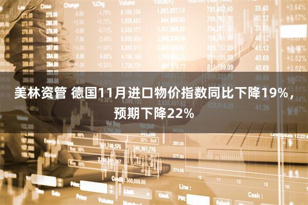 美林资管 德国11月进口物价指数同比下降19%，预期下降22%