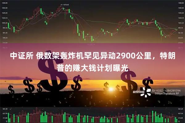 中证所 俄数架轰炸机罕见异动2900公里，特朗普的赚大钱计划曝光