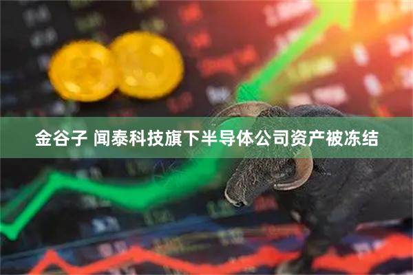 金谷子 闻泰科技旗下半导体公司资产被冻结